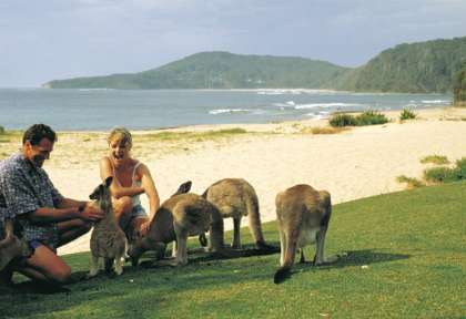 New South Wales - Pebbly Beach