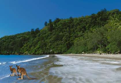 Cape Hillsborough national Park