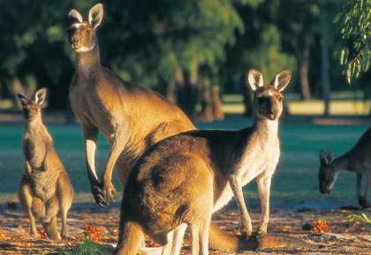 Leeuwin National Park