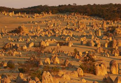 Nambung national Park The Pinnacles