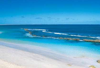 Ningaloo Reef Oyster Rock