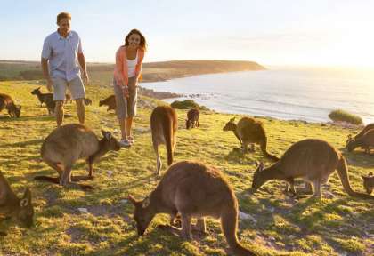 Australie du Sud 
Kangaroo Island