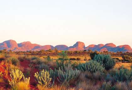 Centre Rouge - Kata Tjuta