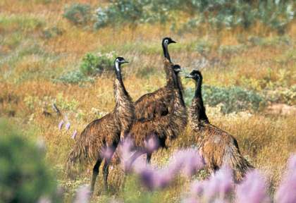 Cape Range National Park