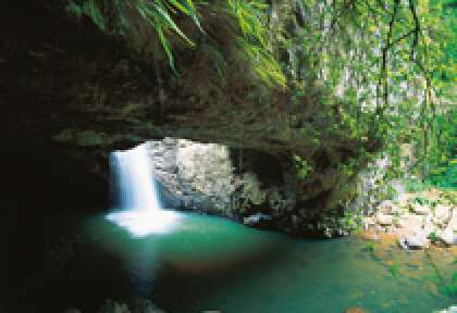 Springbrook National Park
