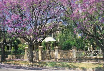 North Adelaide