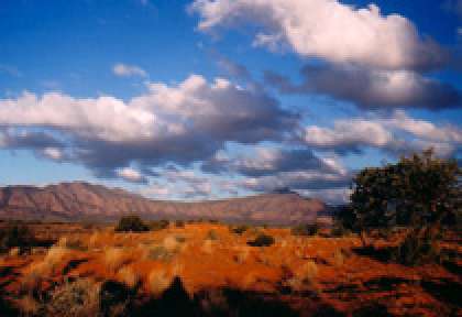 South Australia - Flinders Ranges © Wilpena Pound Resort