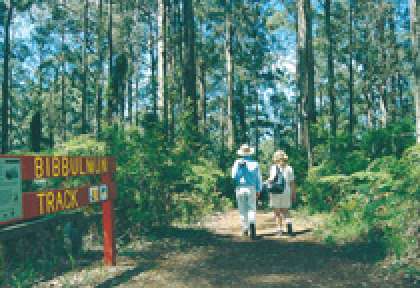 Bibbulmun track