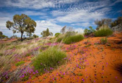 Centre Rouge Uluru