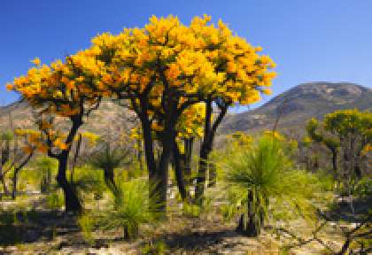 Cape Le Grand National Park