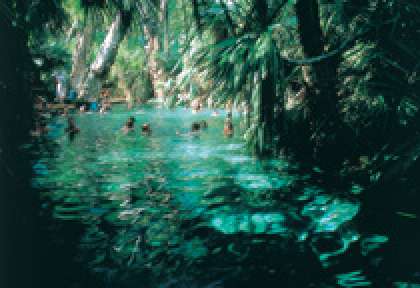 Sources de Mataranka