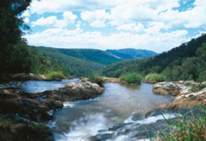 Springbrook National Park