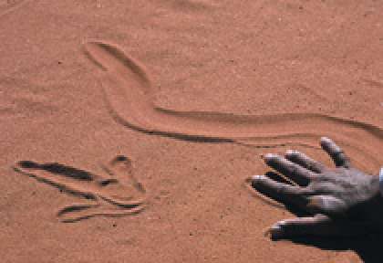 Alice Springs - Desert Park