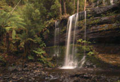 Tasmania - Mt Field National Park