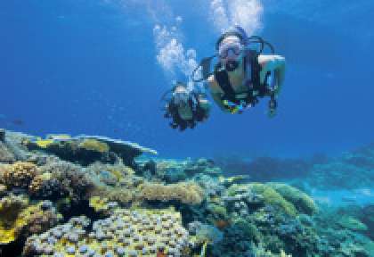 Récifs Grande Barrière de corail
