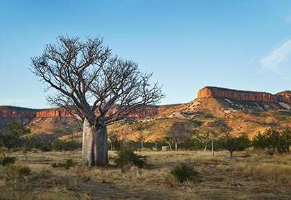 Australie - Western Australia - Cockburn Ranges