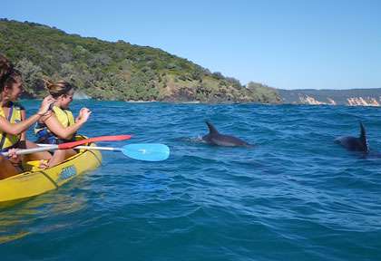 Dauphins et Kayak à Rainbow Beach