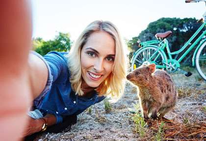 Quokka en Australie