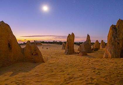 perth desert