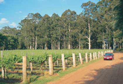 Australie de l’Ouest vignobles