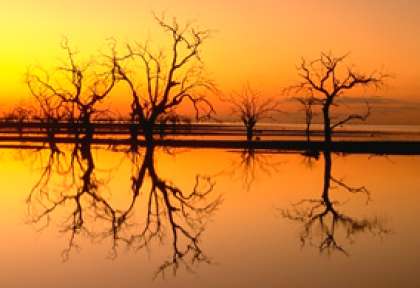 Menindee Lakes en Australie