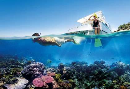 Plongée sur la Grande Barrière de Corail