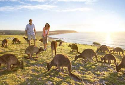 Kangaroo Island