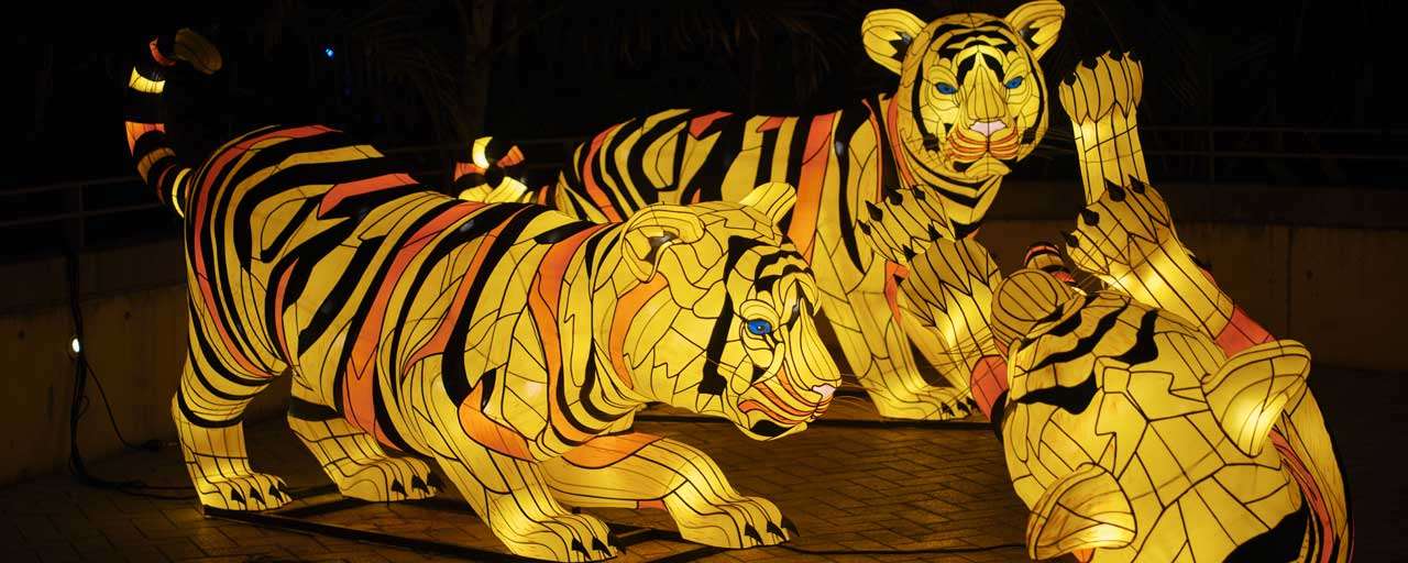 Vivid Sydney