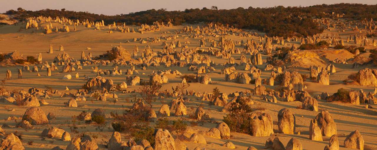 Nambung National Park the Pinnacles