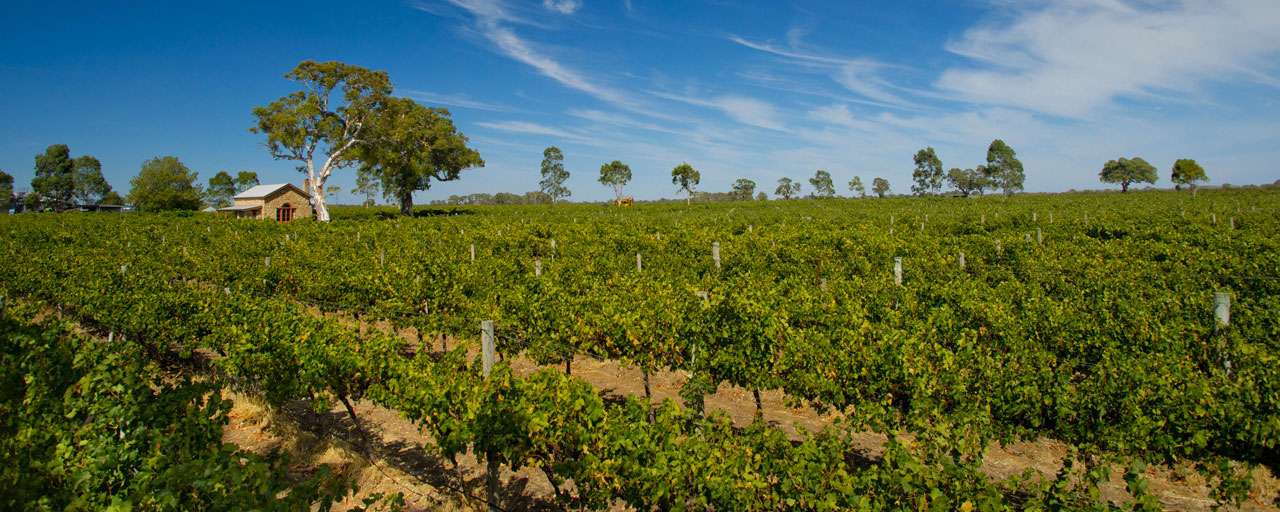 Limestone Coast Coonawarra