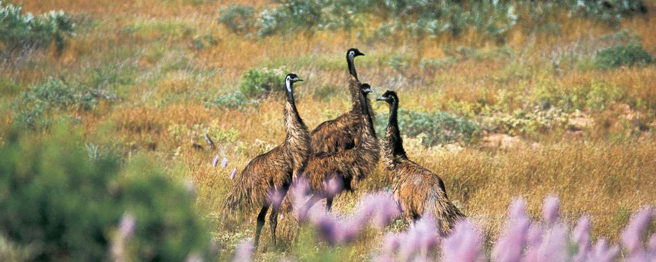Cape Range National Park