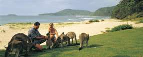 New South Wales - Pebbly Beach