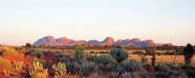 Centre Rouge Kata Tjuta