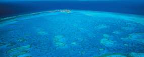 Heron Island