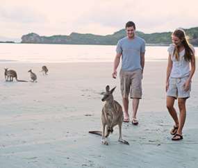 Mackay Cape Hillsborough national park