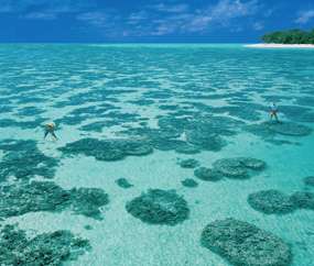 Heron Island