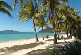 Hamilton Island